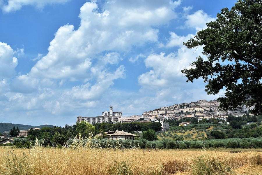 Costituzione della Segreteria Provinciale di Perugia