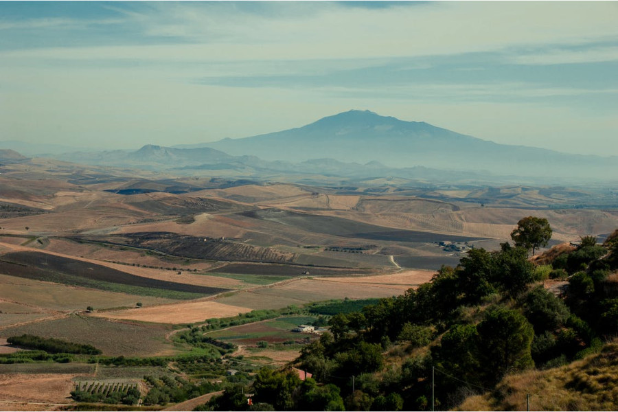 Costituzione della Segreteria Provinciale di Catania