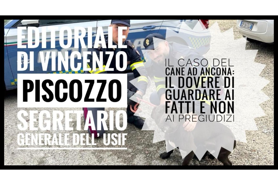 Il caso del cane ad Ancona: il dovere di guardare ai fatti e non ai pregiudizi