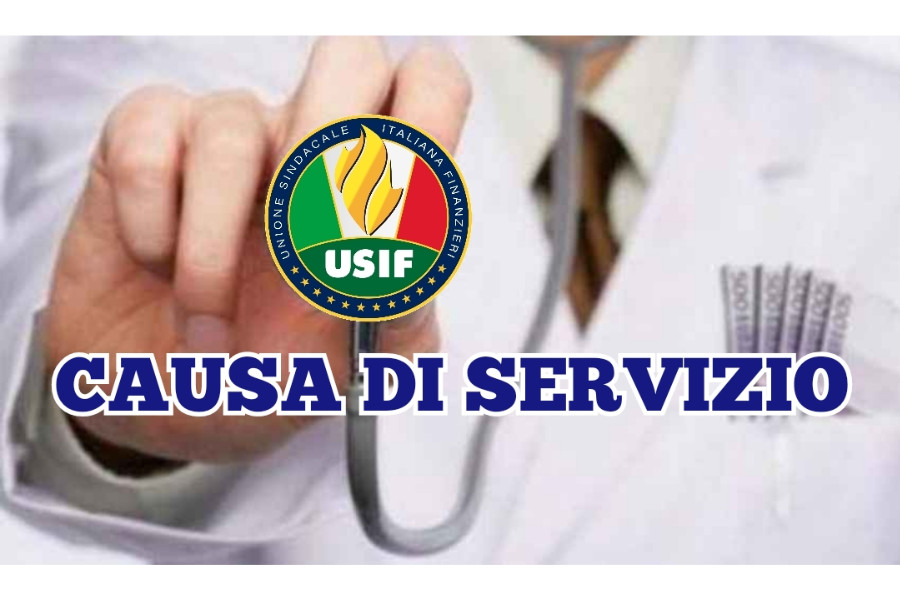 La causa di servizio